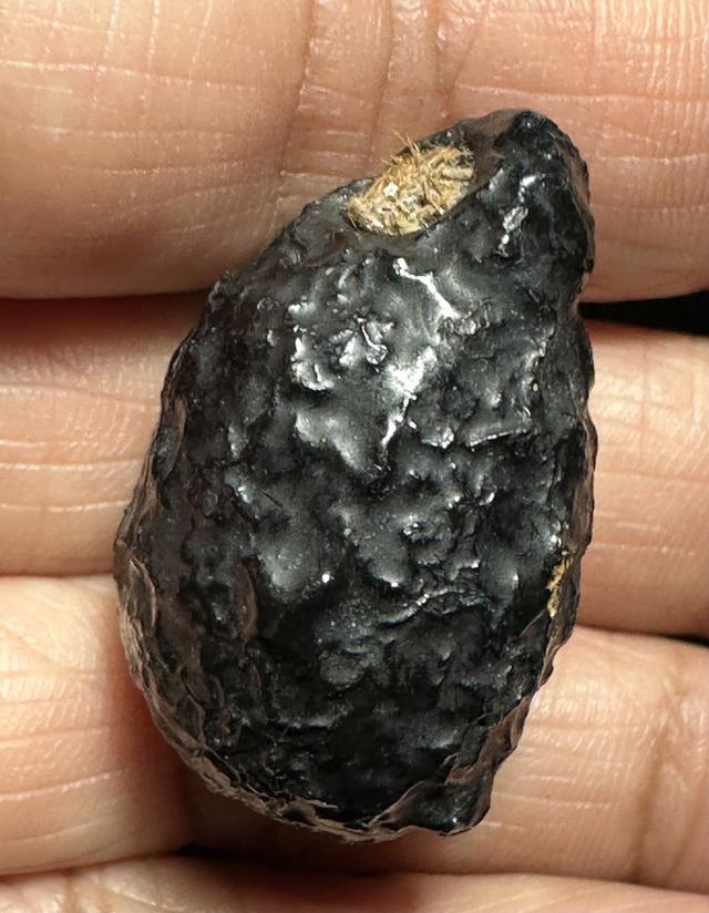 หมากทุยล.ป.เอี่ยม เก่า ลงรักเดิม รูปที่ 10