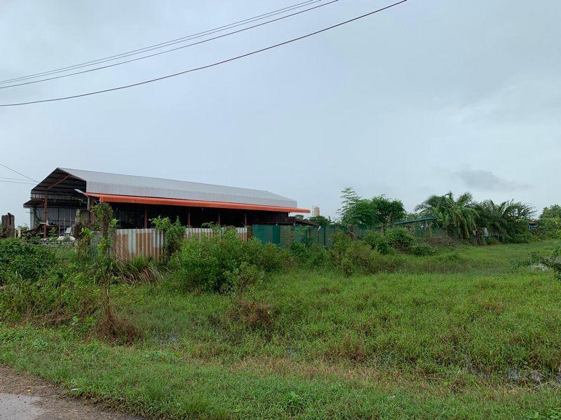 ขายที่ดินเปล่า ทำเลดี อำเภอกาญจนดิษฐ์ จังหวัดสุราษฎร์ธานี