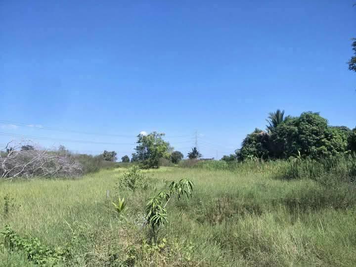 ที่ดินว่างเปล่า 2