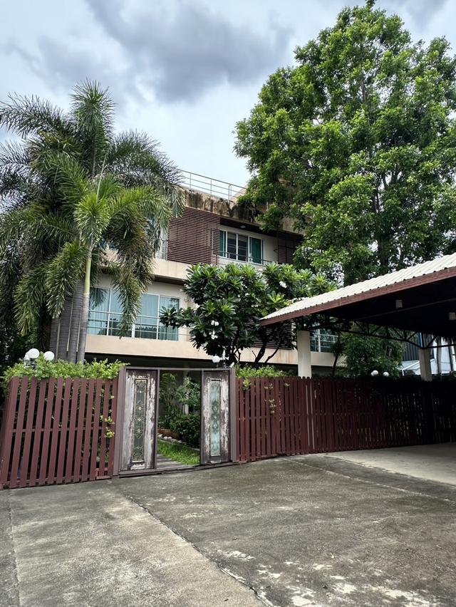 ขายที่ดินพร้อมอาคารสำนักงาน 4 ชั้น และบ้านเดี่ยว 3 ชั้น สุขุมวิท 101 (ซอย ปุณณวิถี 34) 13