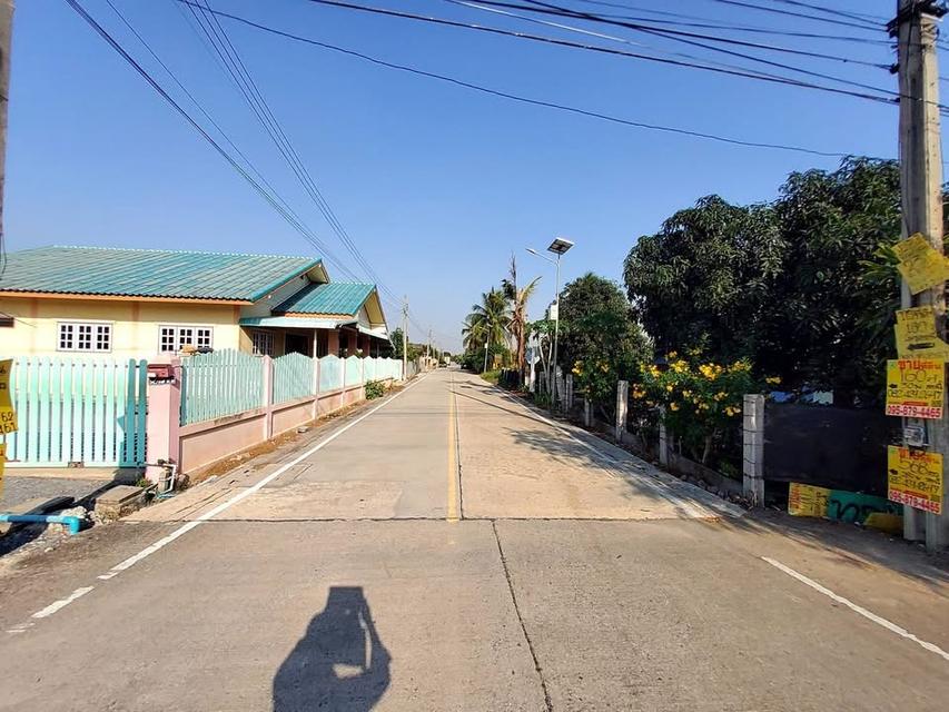 ขายด่วนที่ดินถนนฤชุพันธุ์ 568 ตารางวา ติดถนนคอนกรีตสาธารณะ ซอย ฤชุพันธุ์ 4 อ.ไทรน้อย จ.นนทบุรี 7