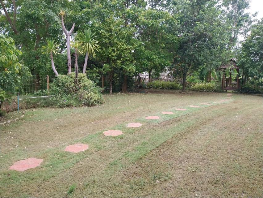 ที่ดินบ้านโป่ง จ.ราชบุรี ใกล้ทางด่วนสาย 81 บางใหญ่-กาญจนบุรี ที่ดินติดน้ำ โฉนดครุฑแดง พร้อมโอนกรรมสิทธิ์ 19