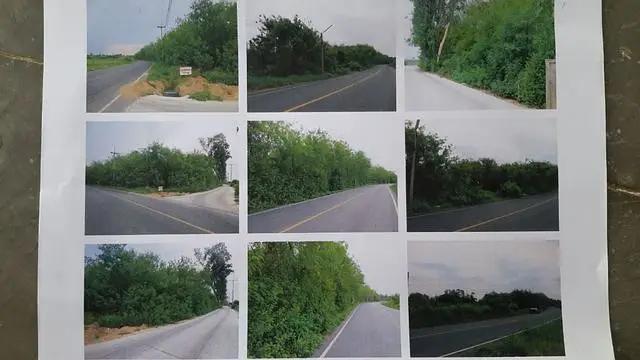 ขายที่ดิน ต.หมอนนาง อ.พนัสนิคม จ.ชลบุรี เนื้อที่ 5-2-74ไร่ ห่าง1กม จากถนนยุทธศาสตร์ 331 (ฉะเชิงเทรา-สัตหีบ) 14
