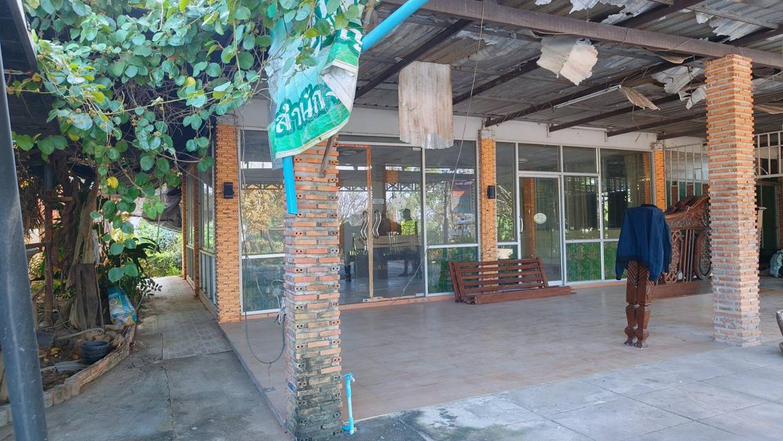 ขาย/ให้เช่า ที่ดินอ่างทอง เจ้าของขายเอง 9