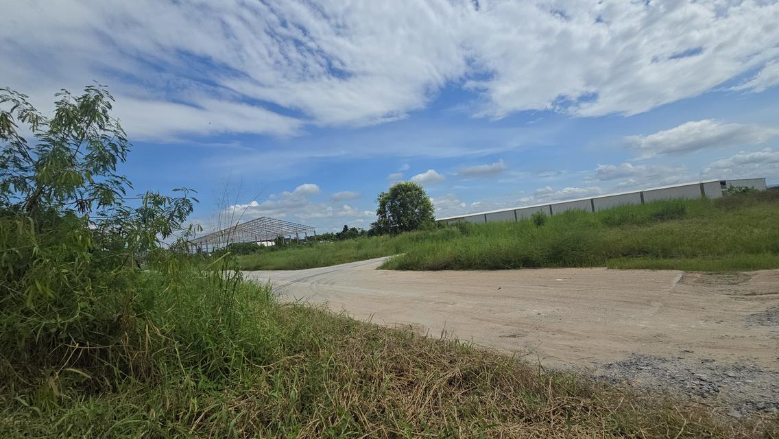 ที่ดินชลบุรี ใกล้ ชลบุรี แกลง 3