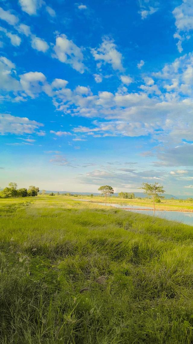 ที่ดินเกษตรกร ที่นา ที่ดิน อสังหาริมทรัพย์ 2