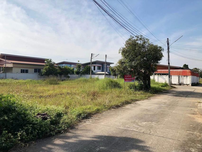 ที่ดินว่างเปล่าสำหรับสร้างบ้าน ราคาโดนใจ 5