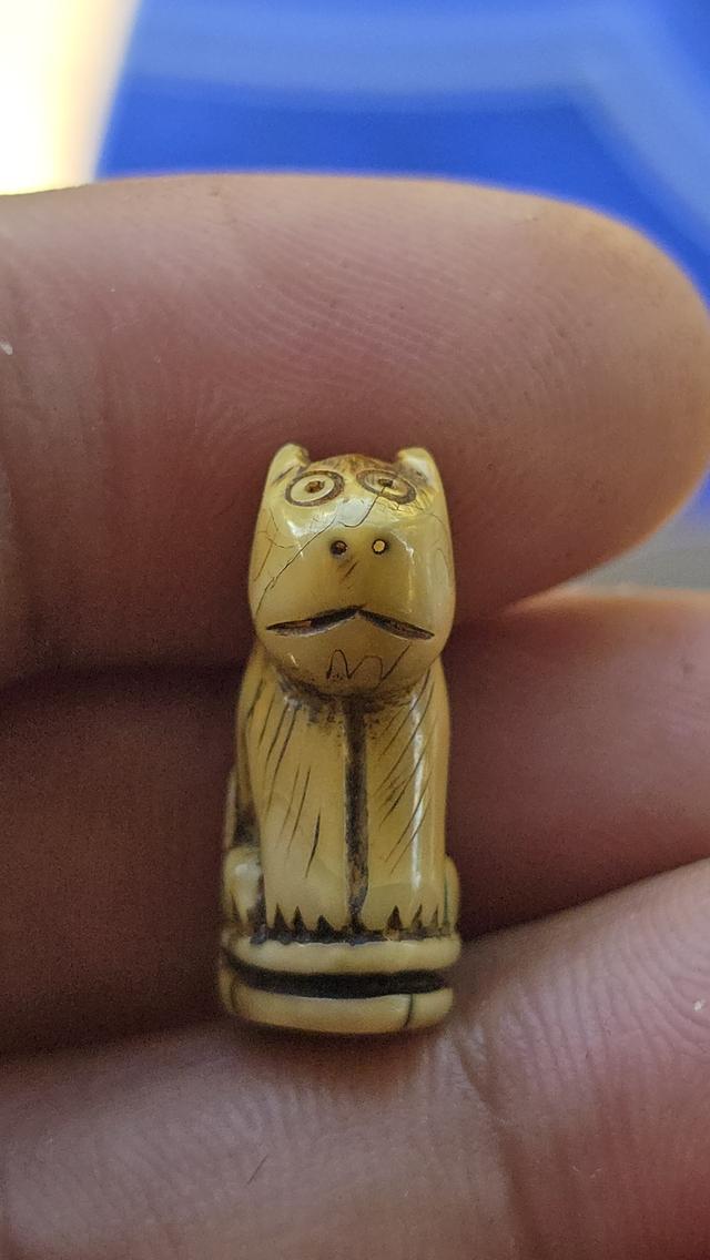 เสือแกะหลวงพ่อปาน วัดคลองด่าน