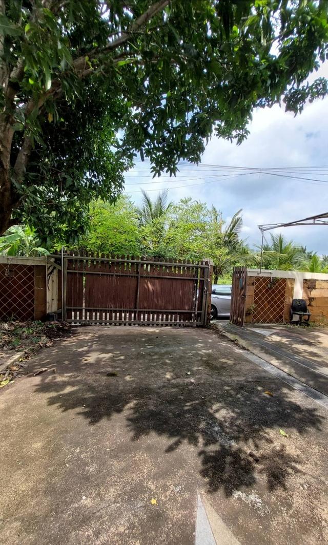 ขายบ้านและที่ดิน ในหมู่บ้านวิชิตนคร  13