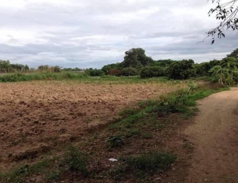 ขายที่ดินแม่ริม เชียงใหม่ 8