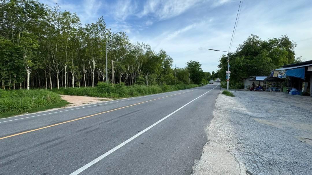 ขายที่ดินระยอง นิคมพัฒนา 48-3-72 ไร่ พื้นที่สีม่วงลาย ใกล้นิคมอมตะซิตี้โซนจีน เหมาะสำหรับทำ โรงงาน โกดัง คลังสินค้า บ้าน 1