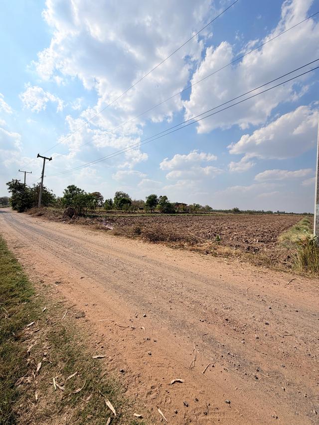 📍ขายที่นา 4ไร่ 3งาน 3.1ตารางวา หน้ากว้าง 40 เมตร น้ำไม่เคยท่วม มีไฟฟ้า น้ำปะปา ติดถนน 2