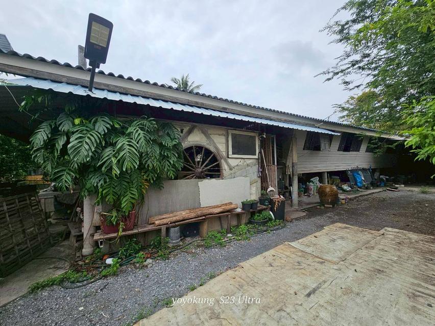 ขายที่ดิน 3-0-80 ไร่ พร้อมสิ่งปลูกสร้าง ติดถนนเลียบคลองขุนศรี ต.ไทรน้อย อ.ไทรน้อย จ.นนทบุรี 7