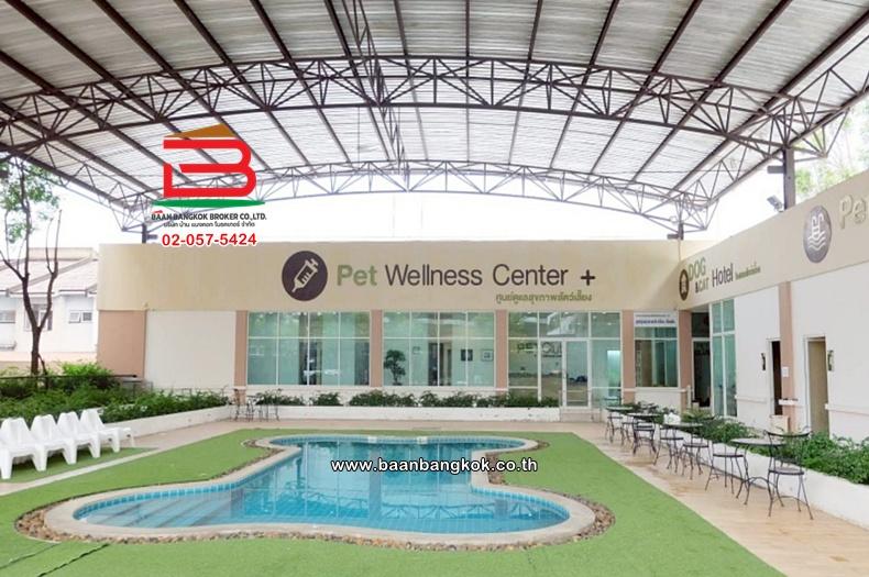 คอนโดมิเนียม เนื้อที่ 35.66 ตร.ม. โครงการ แฮปปี้ ลาดพร้าว 101 : HAPPY CONDO Ladprao 101, ใกล้BTSลาดพร้าว 101 ถนนลาดพร้าว แขวงวังทองหลาง เขตวังทองหลาง 11