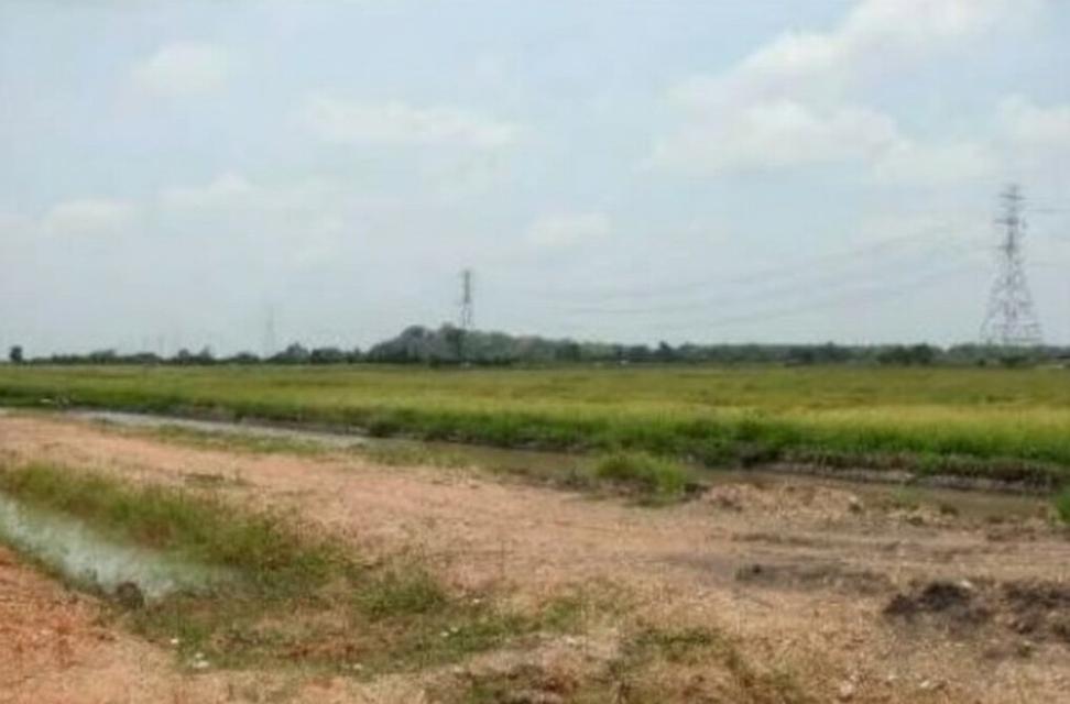 ขายที่ดิน เนื้อที่ 94-0-95 ไร่ อ.พนัสนิคม ใกล้โรงพยาบาลส่งเสริมสุขภาพตำบลหัวถนน 5