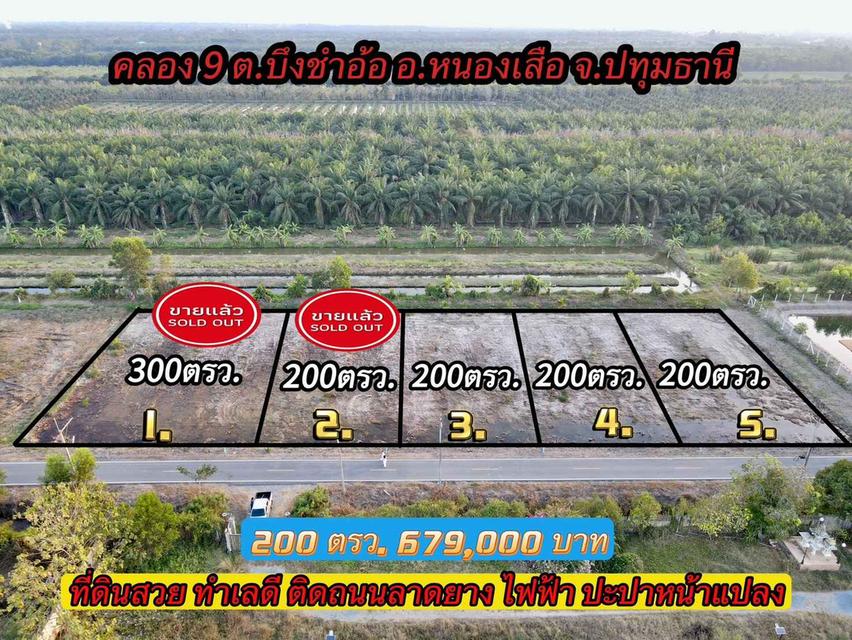 ขายที่ดินบึงชำอ้อ 200 ตรว. คลอง9 ติดถนนลาดยาง อ.หนองเสือ จ.ปทุมธานี 3