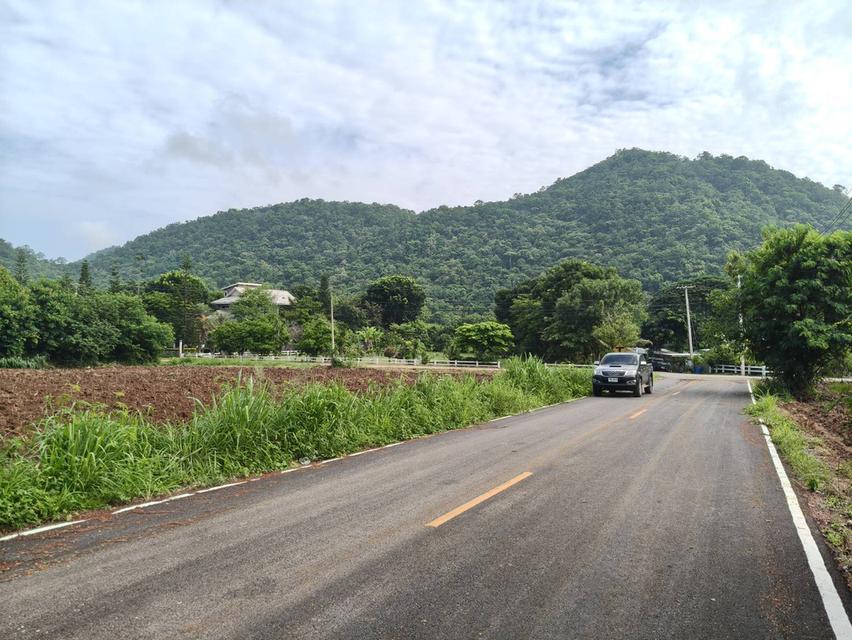 ขายที่หนองน้ำแดง เขาใหญ่ ใกล้ธนะรัชต์ 3 ไร่ ที่ดินวิวเขาสวยล้อมรอบ ใกล้ภูเขา ใกล้มอเตอร์เวย์M6 เดินทางสะดวก ใกล้ตัวเมืองปากช่อง ตลาดร้านค้า โรงพยาบาล 2