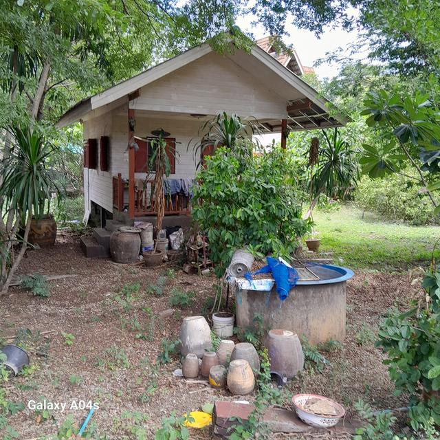 ที่ดิน กาญจนบุรี อำเภอเมือง ขายพร้อมกิจกการรีสอร์จ 6