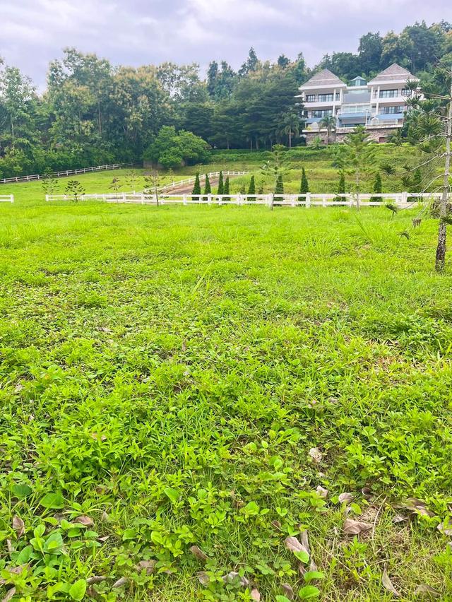 📣🏡 ที่ดินวิวดอย #บ้านปง อ.หางดง เชียงใหม่ 4