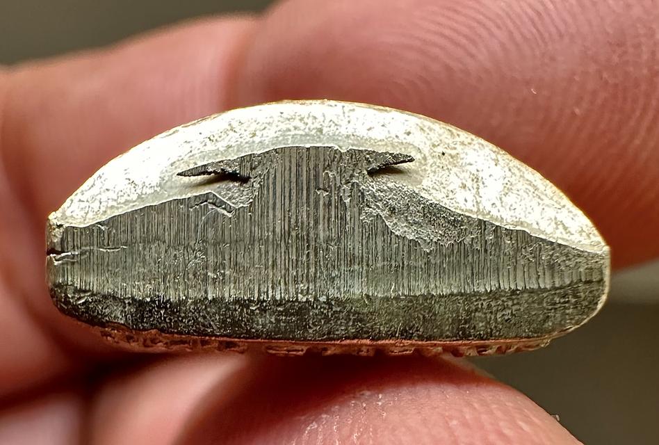 รูปเหมือนปั๊มหลวงพ่อแนม วัดเขาหน่อ นครสวรรค์ เนื้ออัลปาก้า รูปที่ 5