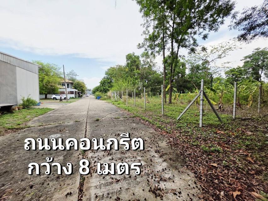 ขายที่ดิน 155 ตรว. ธัญบุรี รังสิต-คลอง3 ปทุมธานี ติดเลค 5
