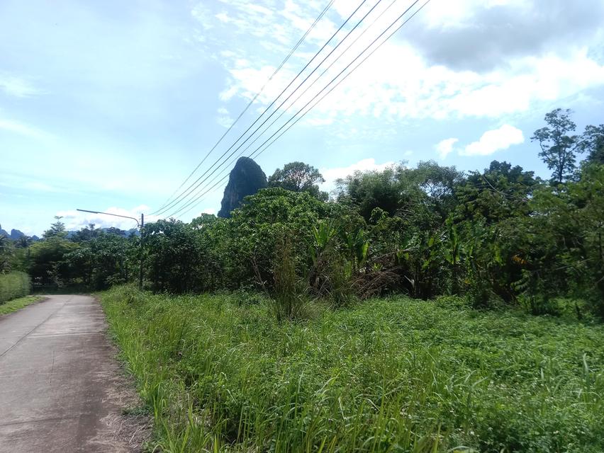 ที่ดินวิวเขาสวยใจกลางแหล่งท่องเที่ยว 1
