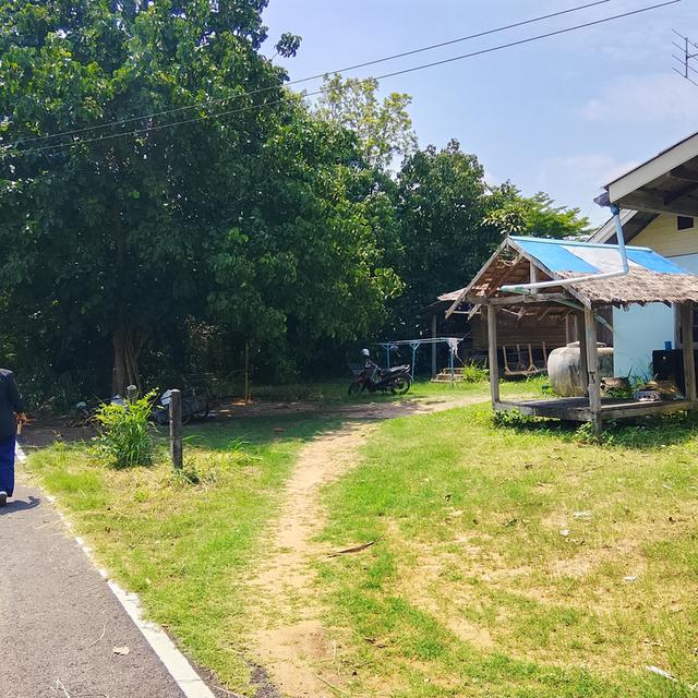 ที่ดิน 200ตรว. อ.เมือง จ.นครราชสีมา 1