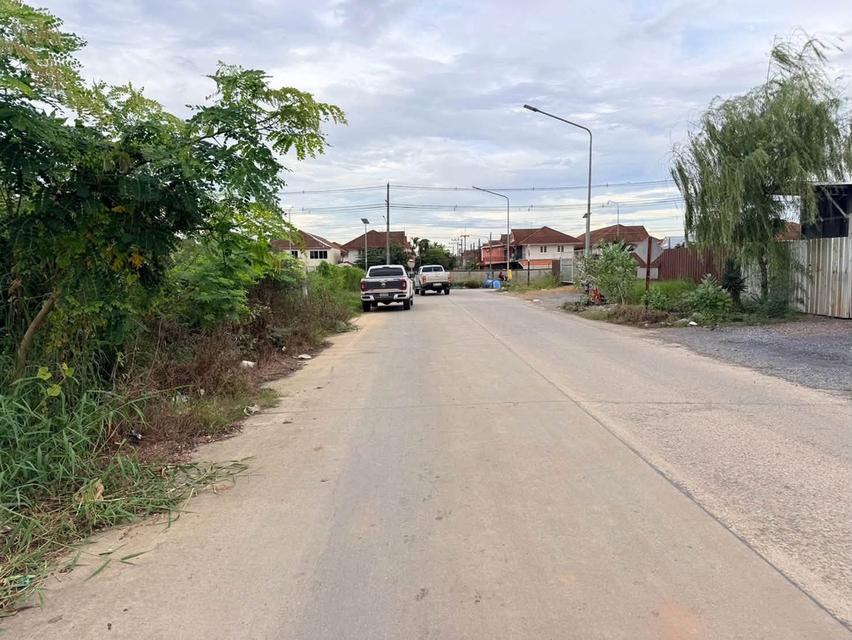ขายด่วนที่ดินคลองสอง 363 ตรว ติดถนนคอนกรีต ซ.บงกช 69 อ.คลองหลวง จ.ปทุมธา 4