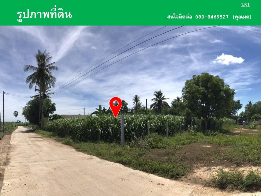 ขายที่ดินหนองลานพระแท่น(น้ำไม่ท่วม) 7