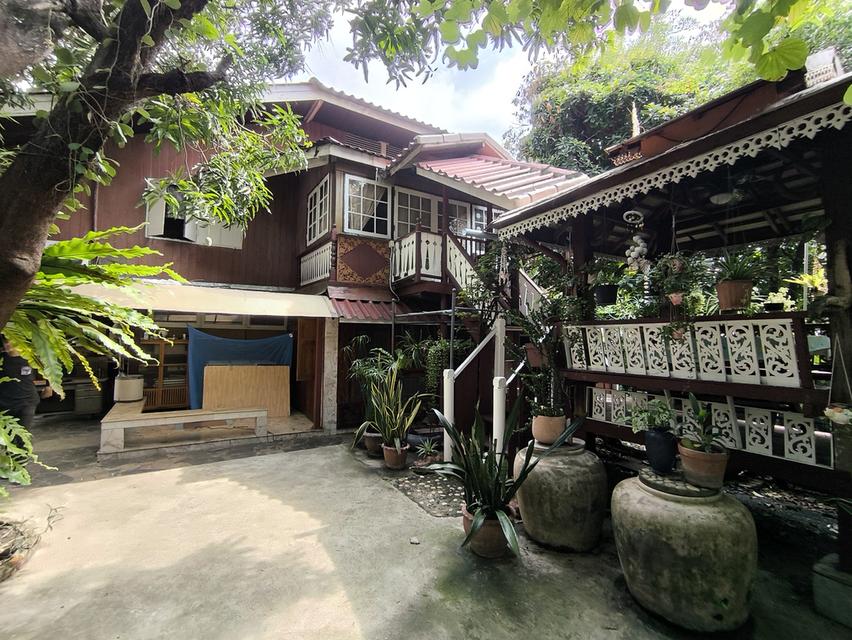 บ้านเดี่ยวเนื้อที่ 446 ตรว. ใจกลางเมือง เหมาะสำหรับลงทุน 4