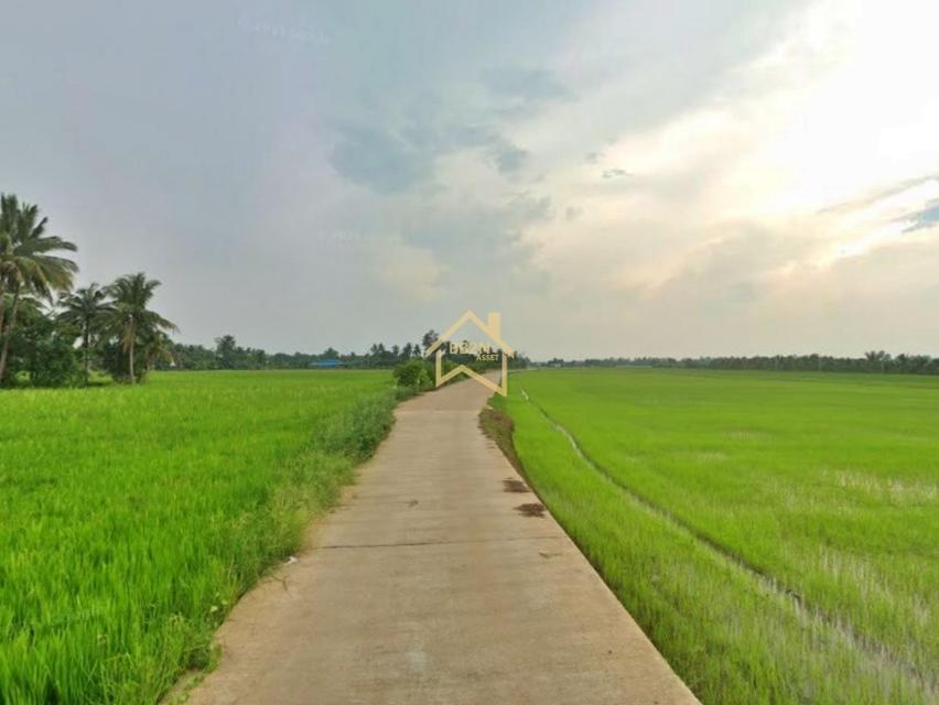 ที่ดิน 10 ไร่ ต.บ้านไร่ อ.บางกระทุ่ม จ.พิษณุโลก 5