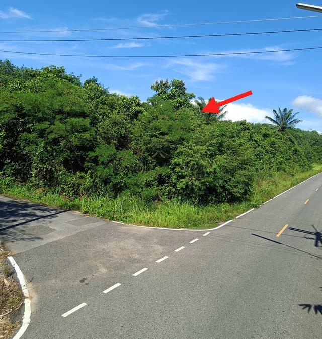 ที่ดินสวยใกล้สนามบินหาดใหญ่ติดมุมถนนสองด้านเจ้าของขายเอง 3
