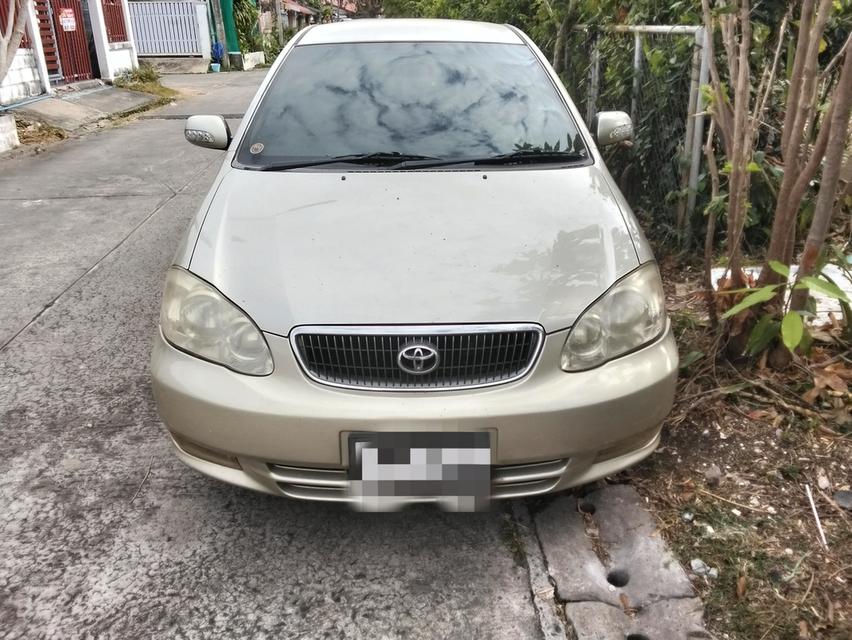 รถยนต์ Toyota Altis 03 2