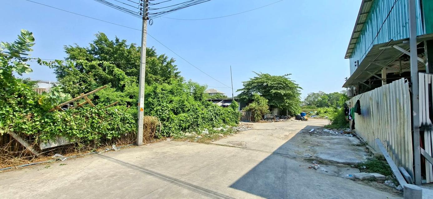 ขายที่ดิน 1 ไร่ซอยนักกีฬาแหลมทอง 1 ถนนกรุงเทพกรีฑา ถมแล้ว รูปแปลงสวย 7