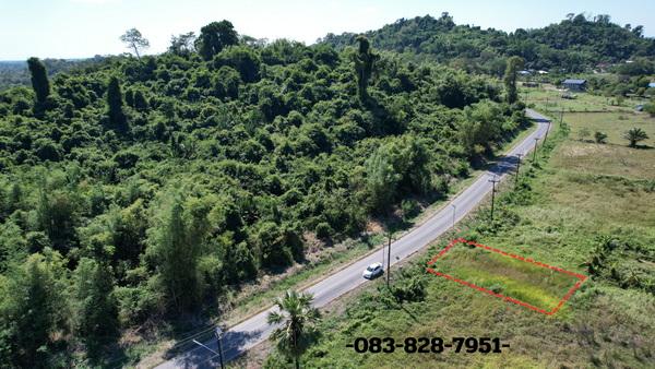 ขายที่ดิน 98 ตารางวา มีโฉนด ต.พรหมณี ติดถนนหลวง วิวเขาชัด ใกล้ รร.จปร. 17