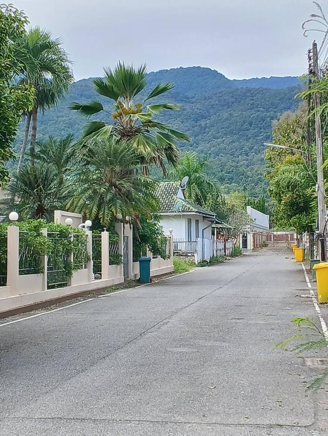 ขายที่ดินวิวสวยๆแปลงหัวมุม ติดถนน 2 ด้านโซนช่างเคี่ยน-หอประชุมนานาชาติ ใกล้เมือง วิวสวยๆ เนื้อที่ 157 ตารางวา 2