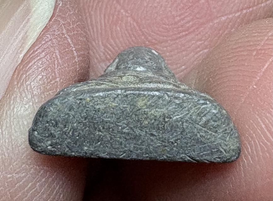 พระสังขจาย เนื้อชินหลังจาร ไม่ทราบที่ 3