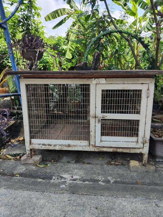 กรงเหล็กใส่สัตว์เล็กใหญ่ได้ รูปที่ 2