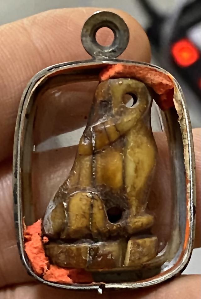 เสือโห่หลวงปู่บุญ วัดกลางบางเเก้ว รูปที่ 2