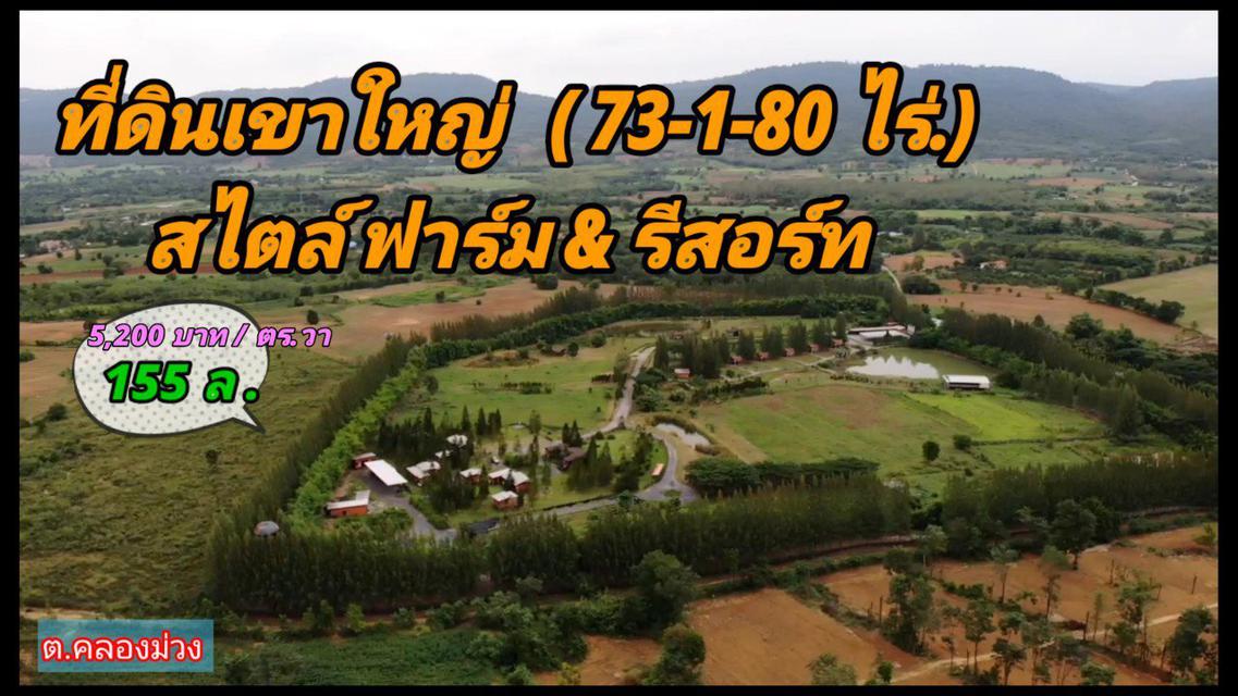 ขายที่ดิน วิวเขายายเที่ยง🌲 73-1-80 ไร่. ต.คลองม่วง อ.ปากช่อง จ.นม ใกล้อุทยานแห่งชาติเขาใหญ่ ที่ดินสไตส์รีสอร์ท & ฟาร์ม 6