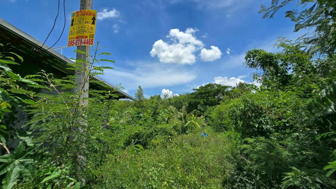 ขายที่ดิน 150 ตรว ติดถนนสาธารณะ บางบัวทอง นนทบุรี 7