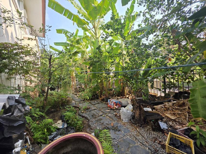 บ้านเดี่ยว 2 ชั้น 4 ห้องนอน 3 ห้องน้ำ 2 ที่จอดรถ มบ.ธารา ราชพฤกษ์ ปิ่นเกล้า หลังหัวมุม + ติดสวนหย่อม 10