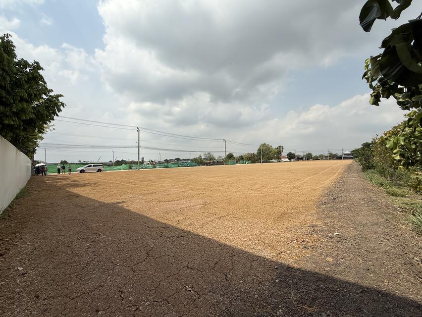 แบ่งขายที่ดิน 3 ไร่ ถมแล้ว หน้ากว้าง ทำเลดี ติดถนนใหญ่ ซ.หทัยราษฏร์ 50 คลองสามวา กรุงเทพ 2