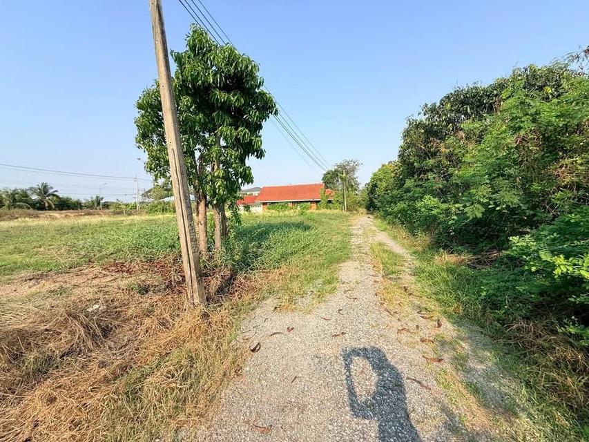 ขายด่วนที่ดิน 400 ตารางวา ติดถนนสาธารณะ คลองถนน บางใหญ่ นนทบุรี 5