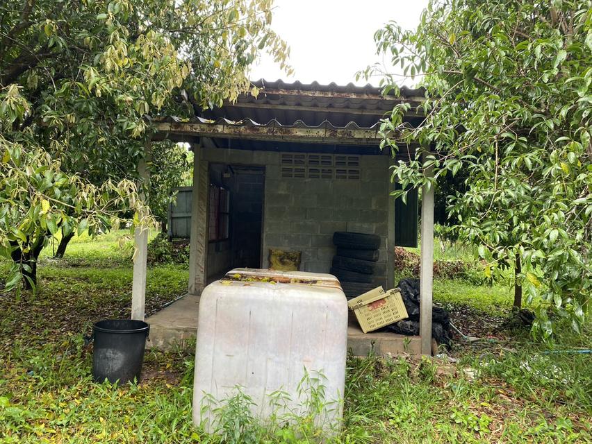 ขายที่ดินพร้อมบ้าน เนื้อที่ 365 ตารางวา อ.เกาะจันทร์ จ.ชลบุรี 6