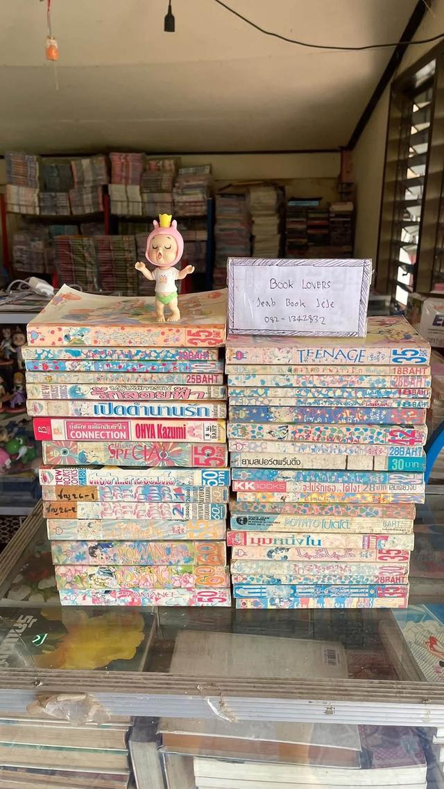 หนังสือการ์ตูน หมึกจีน ตาหวาน เล่มเดียวจบ ขายยกกอง