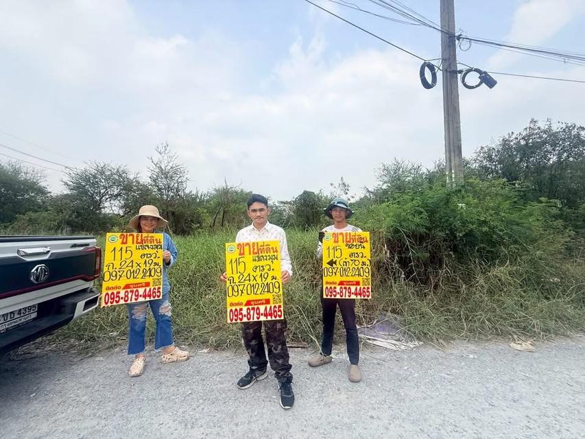 ขายด่วนที่ดิน 115 ตารางวา แปลงมุม ติดถนนสาธารณะ รร.บ้านคลองฝรั่ง อ.ไทรน้อย จ.นนทบุรี 1