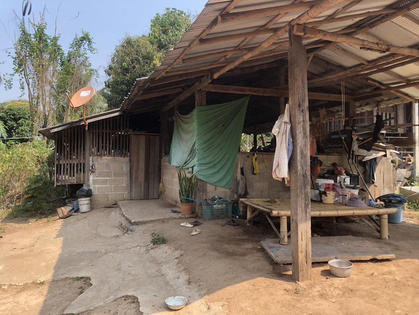 ขาย 230,000 บาท ที่ดิน 92 ตารางวา วังเหนือ ลำปาง  098 7755 808 5