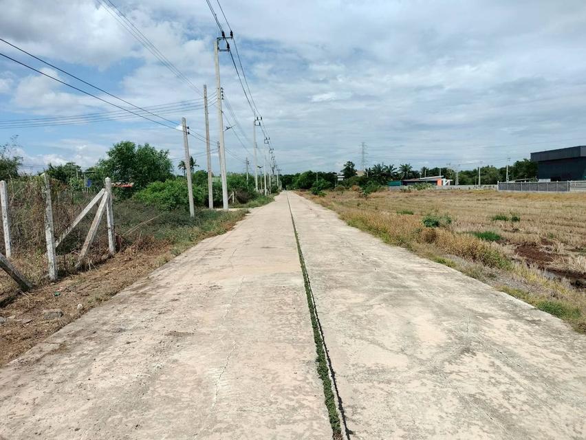 ขายถูกที่ดิน 150 ตรว ติดถนนสาธารณะ ถมแล้ว คลองสิบสอง หนองจอก กทม. 12