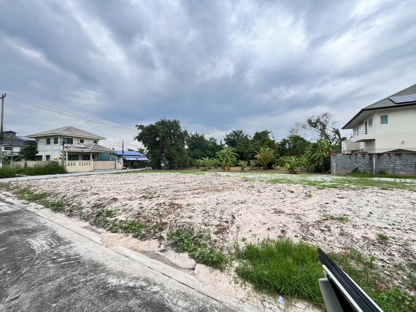 ขายที่ดินจัดสรรเสม็ดซอยจูกลิ่นเนื้อที่ 20 ตรว. ล็อคละ500,000฿ใกล้แยกอ่างศิลา700เมตร เมืองชลบุรี 5
